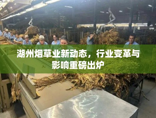 湖州烟草业新动态，行业变革与影响重磅出炉