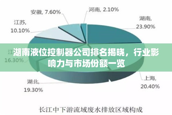 湖南液位控制器公司排名揭晓，行业影响力与市场份额一览