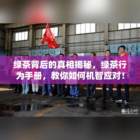 绿茶背后的真相揭秘，绿茶行为手册，教你如何机智应对！