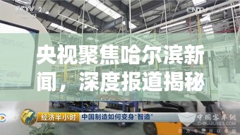 央视聚焦哈尔滨新闻，深度报道揭秘城市动态