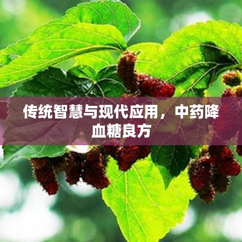 传统智慧与现代应用，中药降血糖良方
