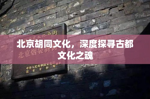 北京胡同文化，深度探寻古都文化之魂