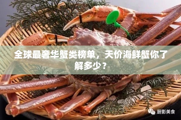全球最奢华蟹类榜单，天价海鲜蟹你了解多少？