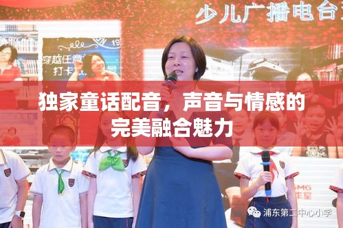 资料大全 第78页