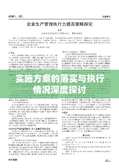 实施方案的落实与执行情况深度探讨