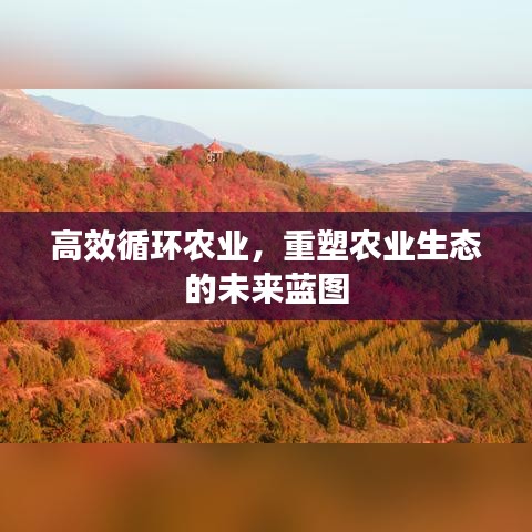 高效循环农业，重塑农业生态的未来蓝图