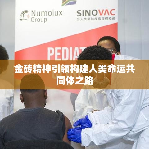 金砖精神引领构建人类命运共同体之路