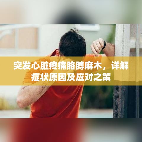 突发心脏疼痛胳膊麻木，详解症状原因及应对之策