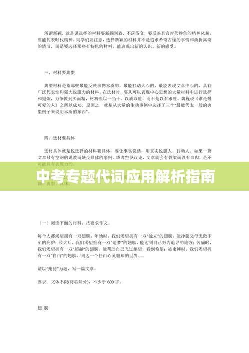 中考专题代词应用解析指南