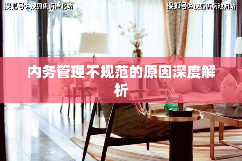 内务管理不规范的原因深度解析