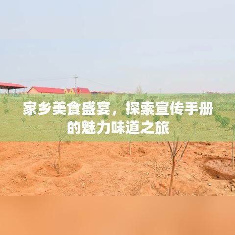 家乡美食盛宴，探索宣传手册的魅力味道之旅