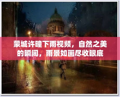 蒙城许疃下雨视频，自然之美的瞬间，雨景如画尽收眼底
