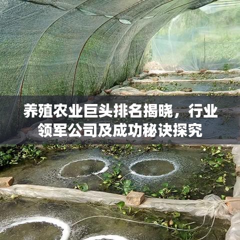 养殖农业巨头排名揭晓，行业领军公司及成功秘诀探究
