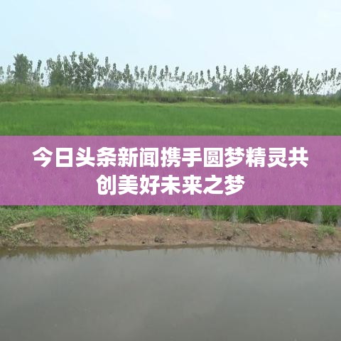 今日头条新闻携手圆梦精灵共创美好未来之梦