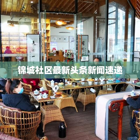 锦城社区最新头条新闻速递