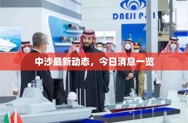 中沙最新动态，今日消息一览