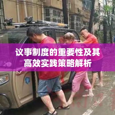 议事制度的重要性及其高效实践策略解析
