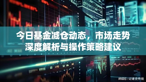 今日基金减仓动态，市场走势深度解析与操作策略建议