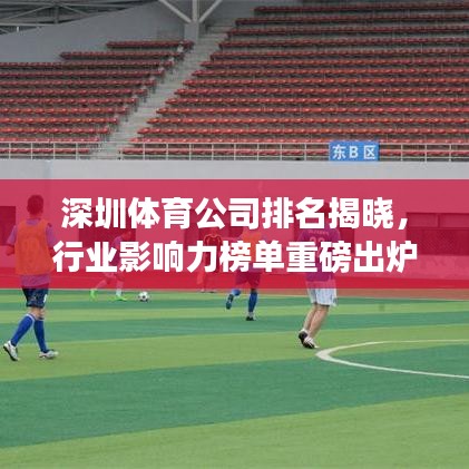 深圳体育公司排名揭晓，行业影响力榜单重磅出炉！