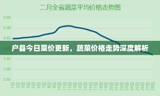户县今日菜价更新，蔬菜价格走势深度解析