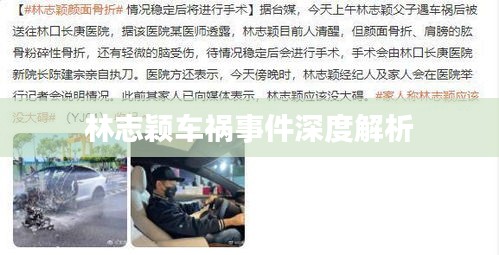 林志颖车祸事件深度解析