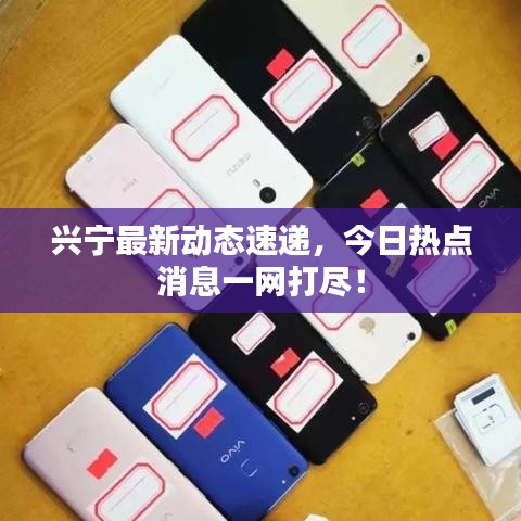 兴宁最新动态速递，今日热点消息一网打尽！