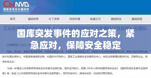国库突发事件的应对之策，紧急应对，保障安全稳定