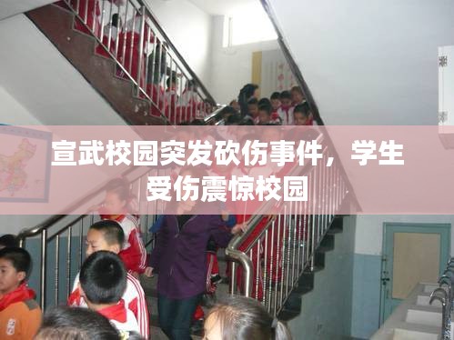 宣武校园突发砍伤事件，学生受伤震惊校园