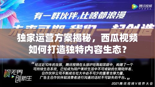 独家运营方案揭秘，西瓜视频如何打造独特内容生态？