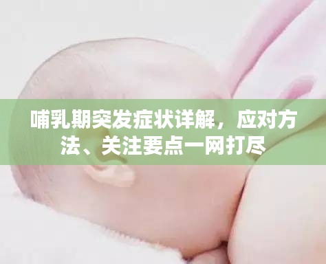 哺乳期突发症状详解，应对方法、关注要点一网打尽