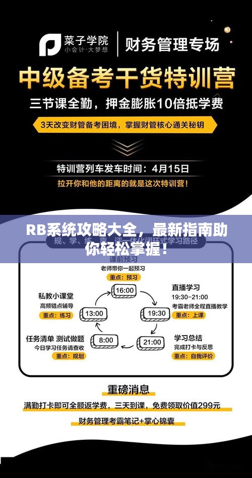 RB系统攻略大全，最新指南助你轻松掌握！