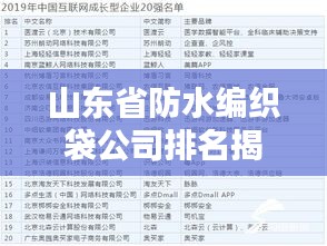 山东省防水编织袋公司排名揭晓，行业领军者榜单揭秘！