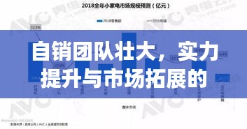 自销团队壮大，实力提升与市场拓展的关键所在