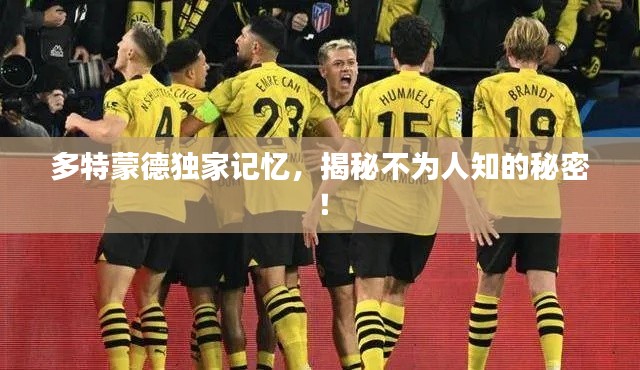 多特蒙德独家记忆，揭秘不为人知的秘密！
