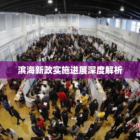 滨海新政实施进展深度解析