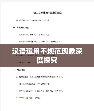 汉语运用不规范现象深度探究