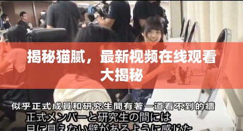 揭秘猫腻，最新视频在线观看大揭秘
