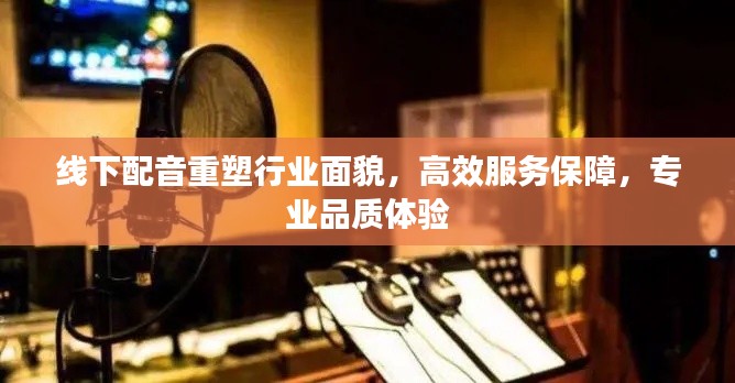 线下配音重塑行业面貌，高效服务保障，专业品质体验