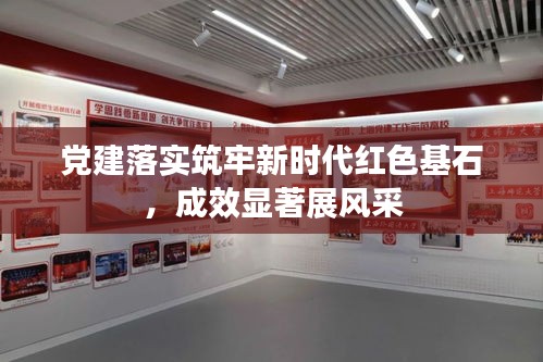 党建落实筑牢新时代红色基石，成效显著展风采