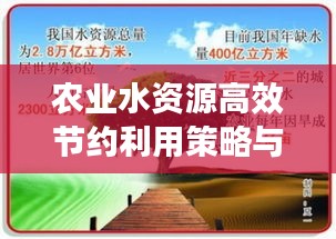 农业水资源高效节约利用策略与实践探讨