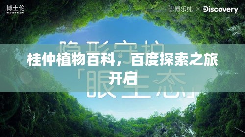 桂仲植物百科，百度探索之旅开启