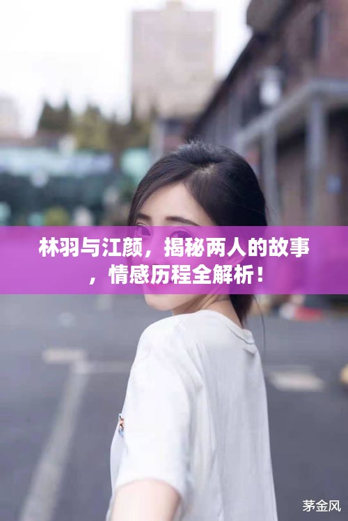 林羽与江颜，揭秘两人的故事，情感历程全解析！