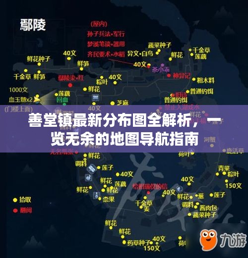 善堂镇最新分布图全解析，一览无余的地图导航指南