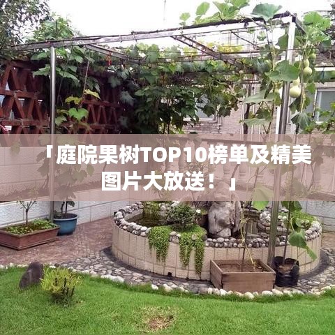 「庭院果树TOP10榜单及精美图片大放送！」