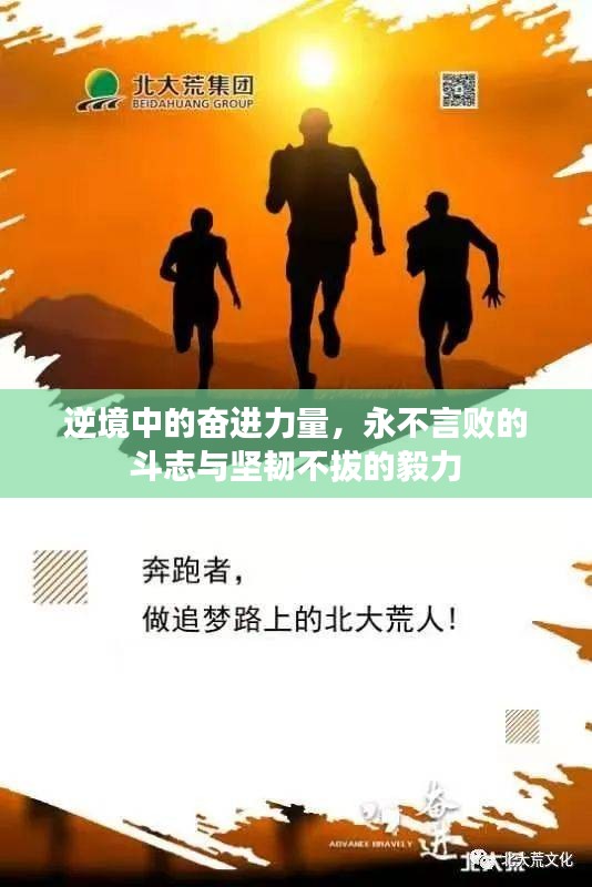 逆境中的奋进力量，永不言败的斗志与坚韧不拔的毅力