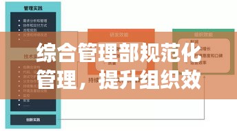 综合管理部规范化管理，提升组织效能的秘诀所在