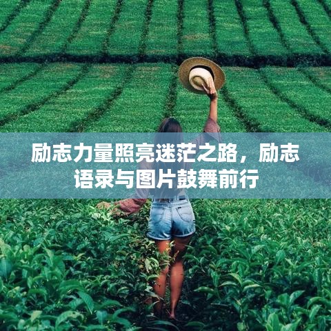 励志力量照亮迷茫之路，励志语录与图片鼓舞前行