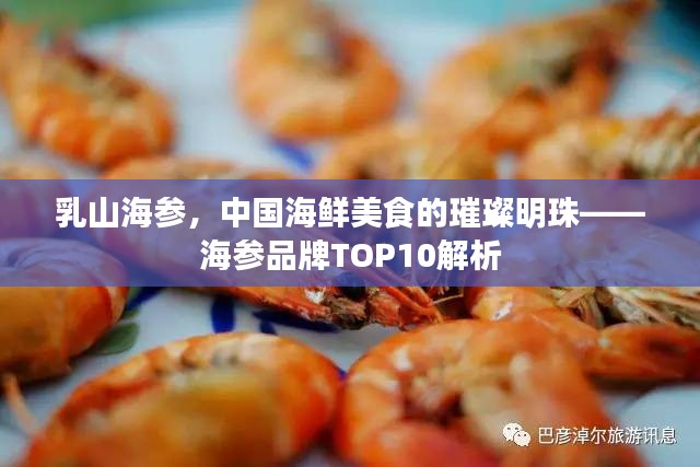 乳山海参，中国海鲜美食的璀璨明珠——海参品牌TOP10解析