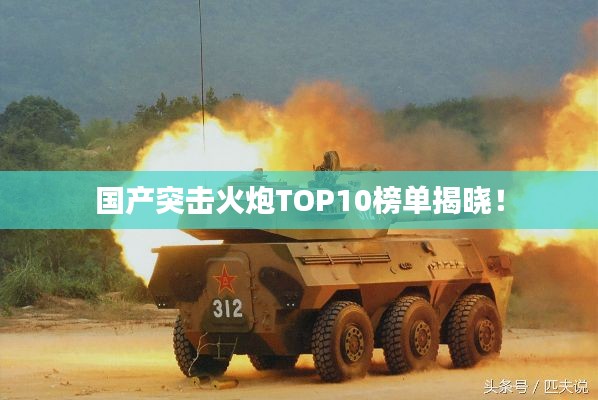 国产突击火炮TOP10榜单揭晓！