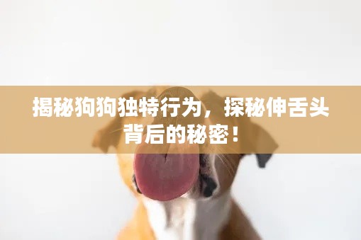 揭秘狗狗独特行为，探秘伸舌头背后的秘密！